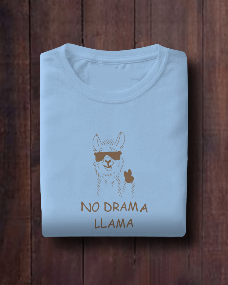 Drama Lama Oversized T-Shirt